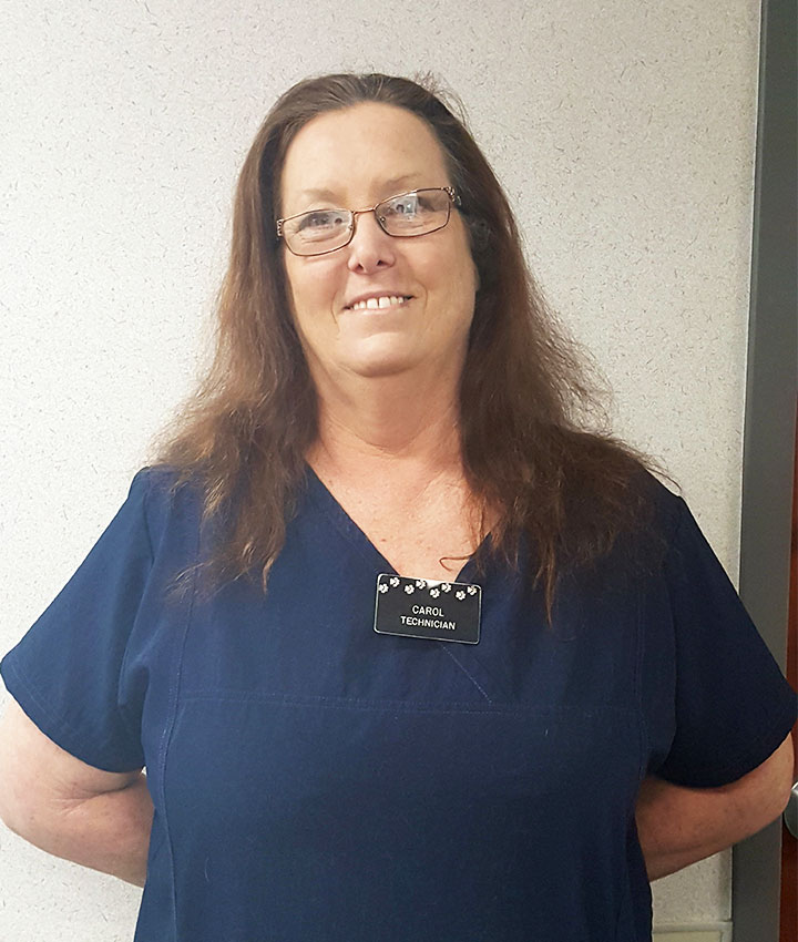 Carol Culverhouse