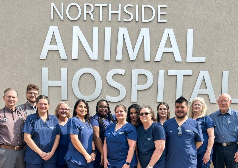 Carousel Slide 4: Team Veterinary Care, Northside